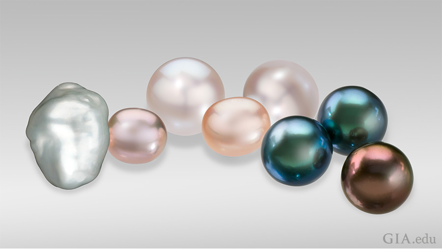 Today, cultured pearls can be found in a wide variety of shapes, colors and sizes (here, measuring between 9 mm and 23 mm). From left to right: a baroque cultured pearl; small fancy pink and peach off-round freshwater cultured pearls; round white Australian cultured pearls; and black and brown Tahitian cultured pearls. Photo: Robert Weldon/GIA. Today, cultured pearls can be found in a wide variety of shapes, colors and sizes (here, measuring between 9 mm and 23 mm). From left to right: a baroque cultured pearl; small fancy pink and peach off-round freshwater cultured pearls; round white Australian cultured pearls; and black and brown Tahitian cultured pearls. Photo: Robert Weldon/GIA.
