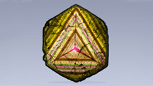 Liddicoatite