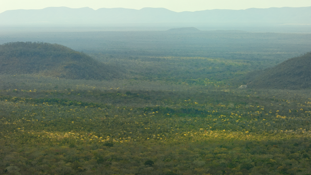 The mine, located near the center of the photo, is barely visible through the foliage between the two mountains. Photo by Robert Weldon/GIA.