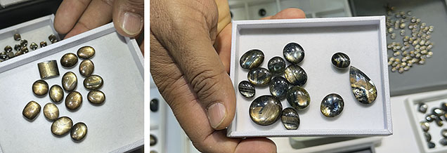 Figure 1. Gold sheen sapphires displaying asterism (left) and multicolored zoning (right). Photos by Jennifer Stone-Sundberg; courtesy of Genuine Gems & Jewellery. Figure 1. Gold sheen sapphires displaying asterism (left) and multicolored zoning (right). Photos by Jennifer Stone-Sundberg; courtesy of Genuine Gems & Jewellery.