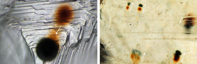 Figure 11. Photomicrographs of radiation stains demonstrating shifting. Left: Green and brown radiation staining on a rough diamond from Guyana (Guy503). The similar size and shape of the round radiation stains, as well as the diffuse staining connecting the two more opaque centers, indicates that this diamond either experienced heating and subsequent cooling before the deposition of the newer green radiation stain or was subjected to different irradiation events over time (e.g., Vance et al., 1973; Raal and Robinson, 1980). The direction that the irradiated region changed over time is indicated by an arrow, from older to newer staining. Photomicrograph by Taryn Linzmeyer; field of view 0.288 mm. Right: Multiple stages of shifting are indicated by the two directions of displacement of the older brown and younger green stains (upward-pointing arrows indicate stains on the top surface of the diamond, and the downward-pointing arrow indicates a view through the diamond to radiation stains located on the bottom surface). Photomicrograph by Sally Eaton-Magaña; field of view 3 mm. Modified from Ardon and Eaton-Magaña (2020).