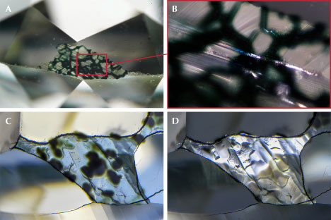 Figure 13. Faceted diamonds with preserved natural surfaces. A and B: Radiation staining coincident with cracks in the surface. This staining is likely deposited by radioactive fluids seeping through the cracks of adjacent mineral grains, resulting in a meshwork pattern. Photomicrographs by Taryn Linzmeyer; fields of view 3.57 mm and 0.72 mm. C and D: Radiation staining coincident with smooth, expanded surfaces. Image D was taken in reflected light to emphasize the surface topography. Photomicrographs by Nathan Renfro; field of view 2.24 mm. From Ardon (2021).
