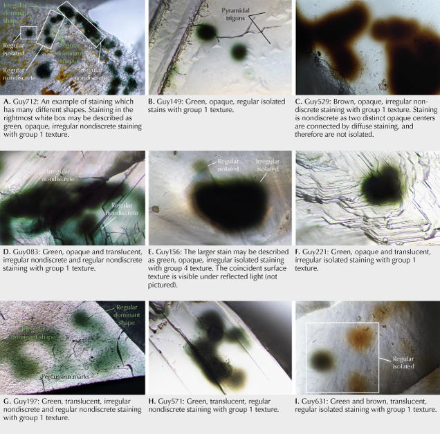 Figure 16. Examples of classified radiation stains. Photomicrographs by Taryn Linzmeyer; fields of view 0.72 mm (A) and 0.288 mm (B–I).