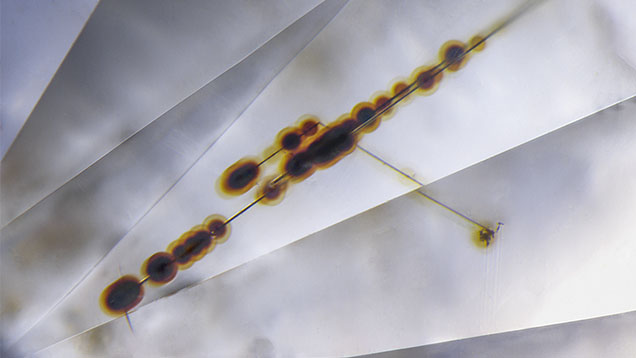 Figure 2. This faceted diamond with etch channels shows a number of radiation stain halos resulting from shallow alpha radiation that extend along its length. The etch channels and radiation stains on the original natural surface were retained after faceting. Photomicrograph by Nathan Renfro; field of view 1.03 mm.