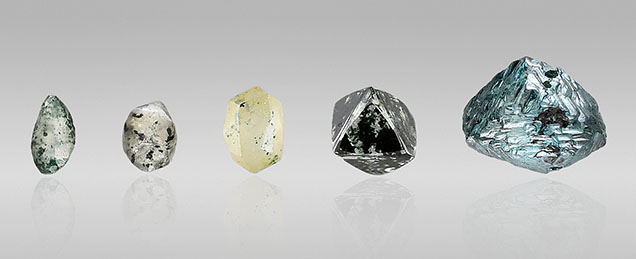 Figure 3. Five rough diamonds from this study of various colors and habits, displaying natural radiation staining. These samples originate from Guyana except for the second from the right, which is reportedly from Venezuela. Carat weights from left to right are 0.01 ct (Guy304), 0.04 ct (Guy572), 0.06 ct (Guy712), 0.11 ct (GV001), and 0.23 ct (Mus17586). Photos by Diego Sanchez.