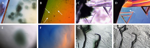 Figure 6. Underlying surface textures coincident with radiation stains. Samples RH001 (A and B), GV003 (C and D), JK001 (E and F), and Guy330 (G and H) are shown. A–D display etching coincident with radiation stains. Surface textures in B and D are noted by arrows. E and F show positive relief at the site of a radiation stain on a Namibian diamond. G and H show radiation stains coincident with ruts at the surface of the diamond. These are imaged in transmitted light (A, C, E, and G) along with the corresponding false-color DIC images (B, D, F, and H). Image B’s brightness and contrast were adjusted to increase visibility of the topography. Photomicrographs by Taryn Linzmeyer; fields of view 0.144 mm (A and B), 0.451 mm (C and D), and 0.288 mm (E–H).