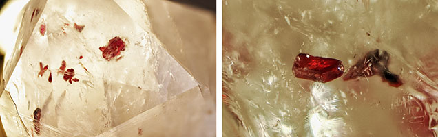 Bright red to dark red crystals of cinnabar in colorless quartz. Photomicrographs by Wingtak Lui; fields of view 16 mm (left) and 5 mm (right).
