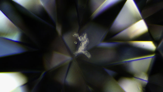 This diamond’s cloud and crystal inclusions resemble a basketball player in action. Photomicrograph by Tejas Jhaveri and Nishant Shah; field of view 3.20 mm.