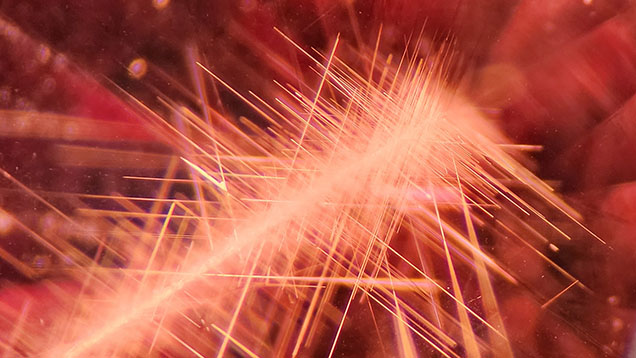 A collection of needle inclusions in a 2.30 ct pyrope-almandine garnet. Photomicrograph by Isabelle Corvin; field of view 2.5 mm.