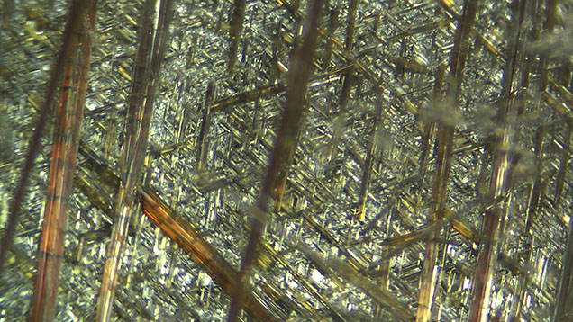 Figure 2. Three sets of interwoven needle-like hematite and rutile inclusions within a six-rayed star quartz. Photomicrograph by Haoran Zhu; field of view 5.00 mm. Figure 2. Three sets of interwoven needle-like hematite and rutile inclusions within a six-rayed star quartz. Photomicrograph by Haoran Zhu; field of view 5.00 mm.