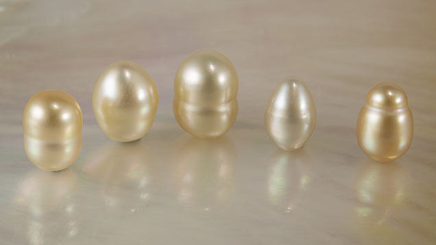 Figure 1. Five cream to orangy yellow South Sea cultured pearls (Pinctada maxima), ranging from 0.96 × 0.64 mm to 1.03 × 0.83 mm. Photo by Nuttapol Kitdee. Figure 1. Five cream to orangy yellow South Sea cultured pearls (Pinctada maxima), ranging from 0.96 × 0.64 mm to 1.03 × 0.83 mm. Photo by Nuttapol Kitdee.