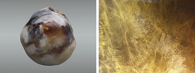 A 12.54 ct natural non-nacreous pearl (left) with formations displaying a leaf-like imprint on its surface (right). Photos by Gourav Bera (left) and Jayesh Surve; field of view 1.30 mm (right). A 12.54 ct natural non-nacreous pearl (left) with formations displaying a leaf-like imprint on its surface (right). Photos by Gourav Bera (left) and Jayesh Surve; field of view 1.30 mm (right).