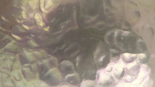 A small natural pearl displays a reticulated pattern with indentations and distinct ridges, differing from the hammered texture commonly observed in pearls. Photomicrograph by Emiko Yazawa; field of view 3.57 mm. A small natural pearl displays a reticulated pattern with indentations and distinct ridges, differing from the hammered texture commonly observed in pearls. Photomicrograph by Emiko Yazawa; field of view 3.57 mm.