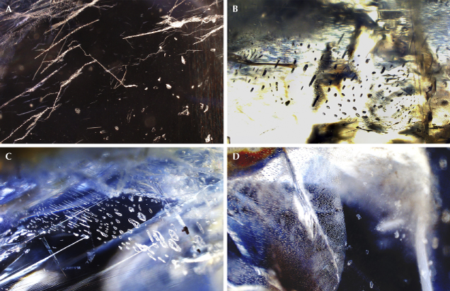 Figure 8. More internal features in sapphires from Baw Mar. A: Colorless negative crystals and whitish stringers (sample BMS-007). B: Two-phase fluid inclusions (BMS-012). C: Multi-phase inclusions (BMS-016). D: Fluid fingerprints (BMS-016), shown in oblique and darkfield illumination. Photomicrographs by Arkar Moe Myint; fields of view 1.65 mm (A), 0.75 mm (B), 0.97 mm (C), and 2.38 mm (D).