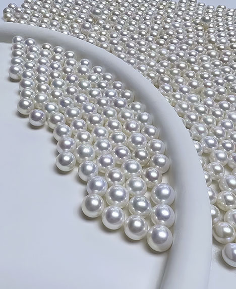 Figure 1. Freshwater bead cultured products from China, such as these “Gablily” pearls (11–13 mm, cultured 3–5 years), are available in the international market. Courtesy of Angeperle. Figure 1. Freshwater bead cultured products from China, such as these “Gablily” pearls (11–13 mm, cultured 3–5 years), are available in the international market. Courtesy of Angeperle.