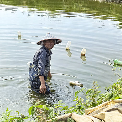 Figure 10. An aquaculture pond used for culturing pearl mussels in Wuyi County. Photo by Yalan Xu. Figure 10. An aquaculture pond used for culturing pearl mussels in Wuyi County. Photo by Yalan Xu.