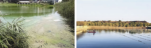 Figure 11. Transformation of a coal mining subsidence pond in the town of Taiping (Zoucheng, Shandong Province), before (left) and after ecological remediation with pearl mussel culturing (right). Courtesy of Zhejiang Qinghu Holdings Co., Ltd. Figure 11. Transformation of a coal mining subsidence pond in the town of Taiping (Zoucheng, Shandong Province), before (left) and after ecological remediation with pearl mussel culturing (right). Courtesy of Zhejiang Qinghu Holdings Co., Ltd.