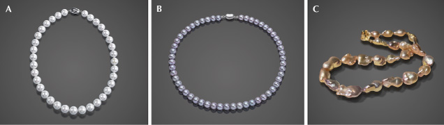 Figure 18. Commercial Chinese BC freshwater pearl varieties. A: Gablily pearl necklace, 11–13 mm round shape. B: “Edison” pearl necklace, 7.3–8.5 mm round shape. C: Soufflé pearl necklace, 13–19 mm baroque-shaped. Courtesy of Angeperle (A), Zhejiang Dongfang Shenzhou Pearl Group Co., Ltd. (B), and Nanchuang Beibei Ji (C). Figure 18. Commercial Chinese BC freshwater pearl varieties. A: Gablily pearl necklace, 11–13 mm round shape. B: “Edison” pearl necklace, 7.3–8.5 mm round shape. C: Soufflé pearl necklace, 13–19 mm baroque-shaped. Courtesy of Angeperle (A), Zhejiang Dongfang Shenzhou Pearl Group Co., Ltd. (B), and Nanchuang Beibei Ji (C).