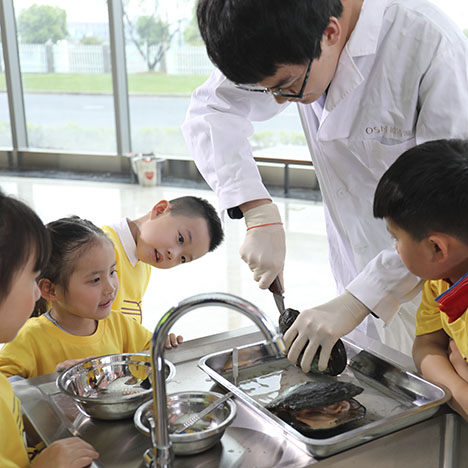 Figure 19. Deqing County provides educational programs related to its freshwater pearl culturing industry, including the one shown here at the Osmun Pearl Museum. Courtesy of Zhejiang Osmun Group Co., Ltd. Figure 19. Deqing County provides educational programs related to its freshwater pearl culturing industry, including the one shown here at the Osmun Pearl Museum. Courtesy of Zhejiang Osmun Group Co., Ltd.