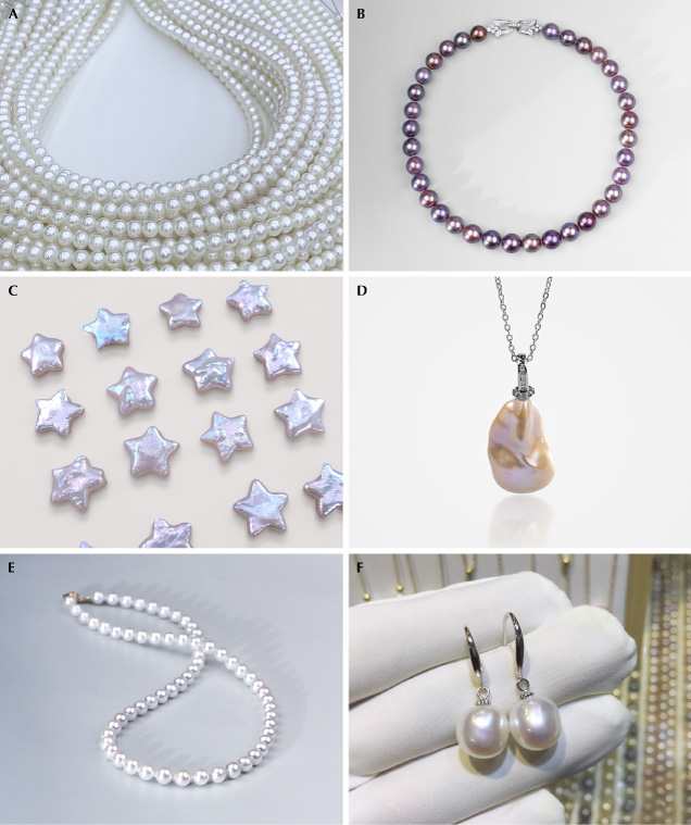 Figure 6. Representative BC (A–D) and NBC (E and F) freshwater pearl products available in the international market. A: “Aurora” pearls (7–8 mm, cultured 2–3 years). B: “Edison” pearl necklace (12–13 mm, cultured 3–5 years). C: Star-shaped pearls (12–13 mm). D: Baroque-shaped pearl pendant (12 × 15 mm). E: Near-round pearl necklace (6–7 mm). F: Oval pearl earrings (8–10 mm). Courtesy of Angeperle (A, B, and D–F) and Qianzhu Jewelry (C). Figure 6. Representative BC (A–D) and NBC (E and F) freshwater pearl products available in the international market. A: “Aurora” pearls (7–8 mm, cultured 2–3 years). B: “Edison” pearl necklace (12–13 mm, cultured 3–5 years). C: Star-shaped pearls (12–13 mm). D: Baroque-shaped pearl pendant (12 × 15 mm). E: Near-round pearl necklace (6–7 mm). F: Oval pearl earrings (8–10 mm). Courtesy of Angeperle (A, B, and D–F) and Qianzhu Jewelry (C).