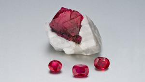 Various Cuts of Rubies Various Cuts of Rubies