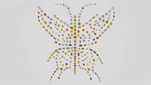 About Fancy Color Diamond About Fancy Color Diamond