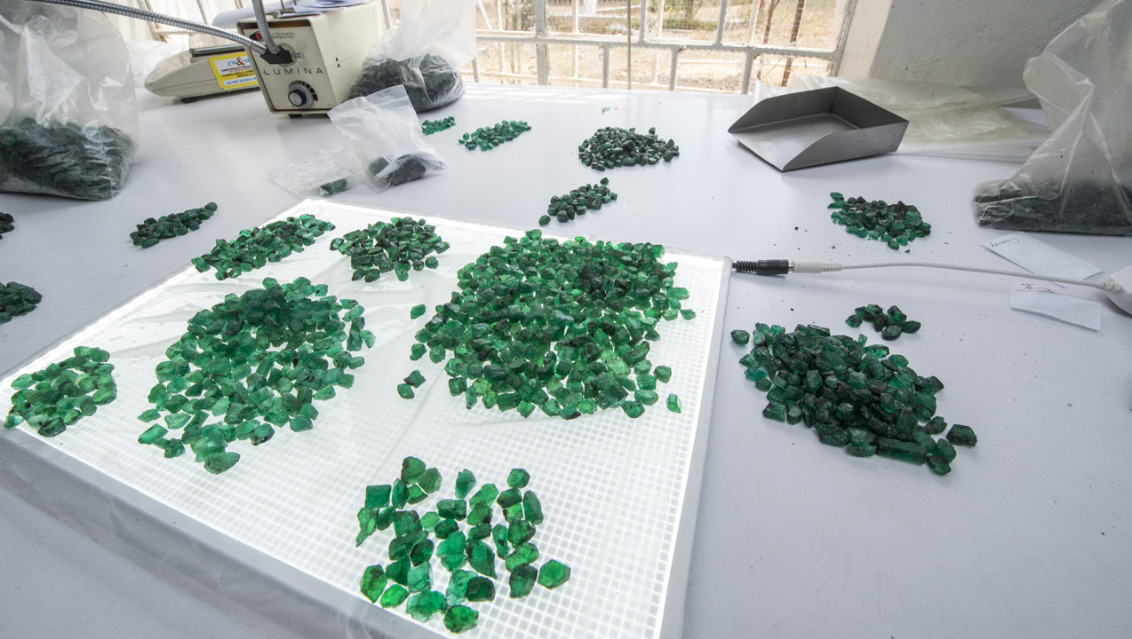 173664 1280x720/JP. バックライト付き選別テーブル上で、新しく産出したエメラルドがカラー、サイズ、形状、半透明性、およびその他の価値要因別に慎重​​に選別されます。 写真提供：Gemfields（ジェムフィールズ）、Robert Weldon/GIA