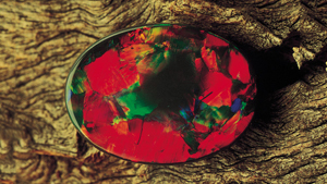 Black Opal