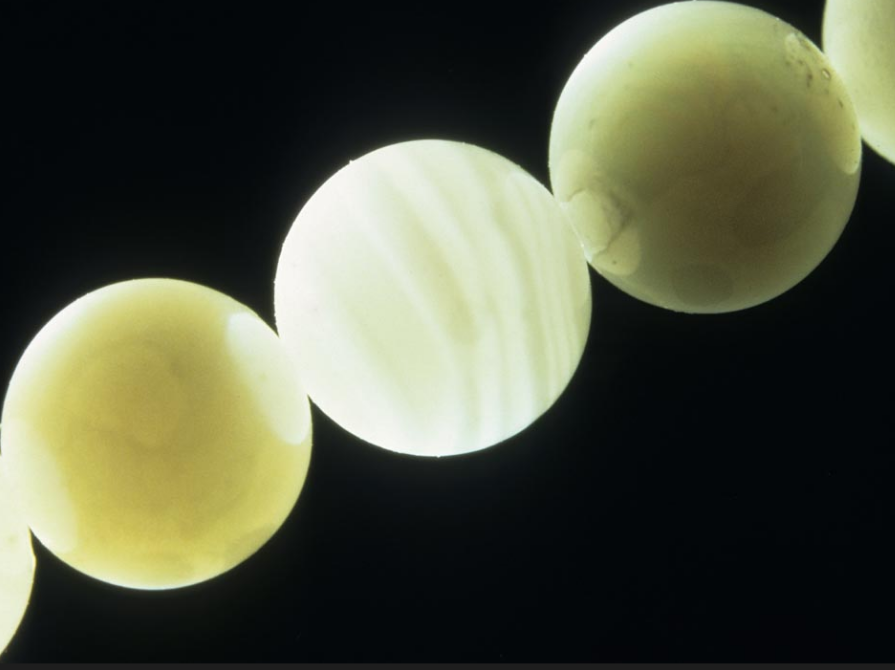 Bead-nucleated Cultured Pearl Bead-nucleated Cultured Pearl