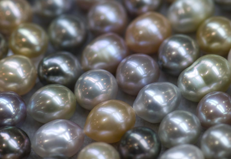 Different Pearl Varieties Different Pearl Varieties