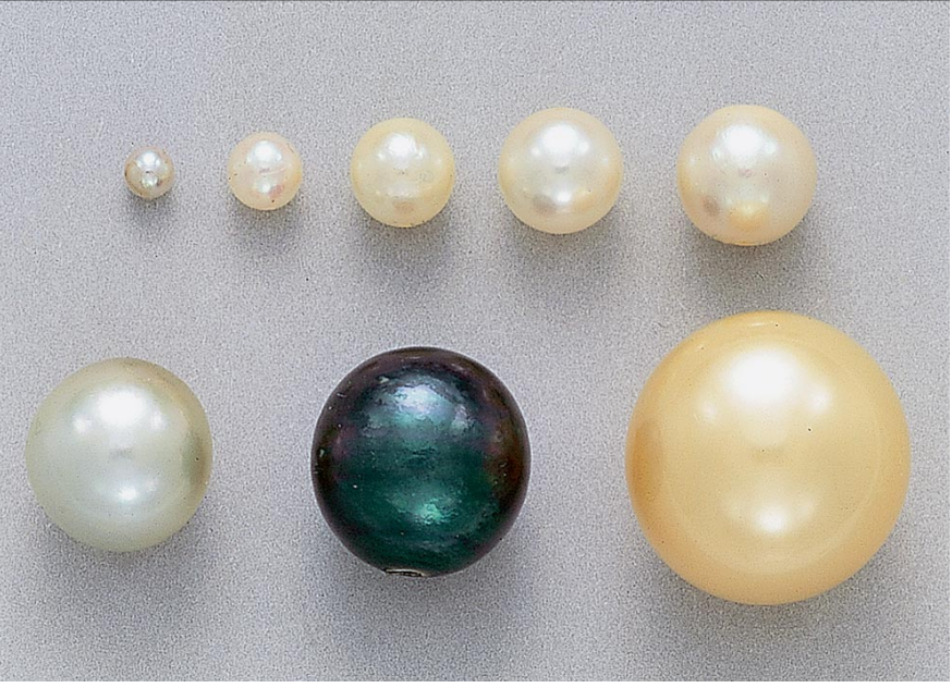 Different Pearl Sizes Different Pearl Sizes