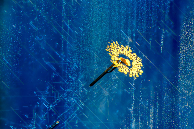 Sapphire inclusion scene resembling a flower. Sapphire inclusion scene resembling a flower.