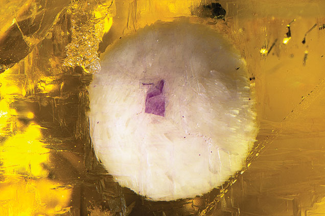 Purple spot in barite inclusion. Purple spot in barite inclusion.
