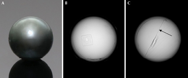 RTX examination of specimen with RFID chip embedded RTX examination of specimen with RFID chip embedded