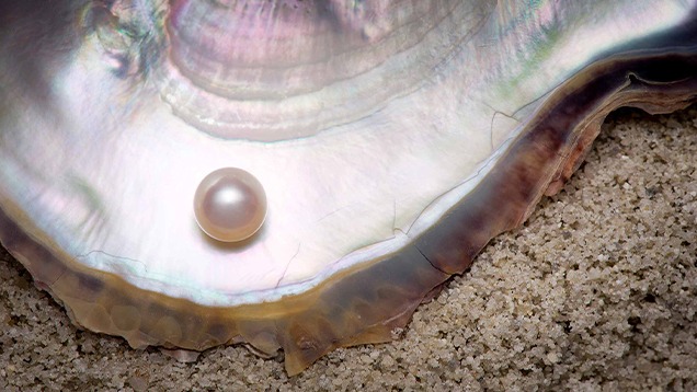 Pearls Grading Lab Images Pearls Grading Lab Images
