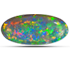 {Learn More About Opal} - image