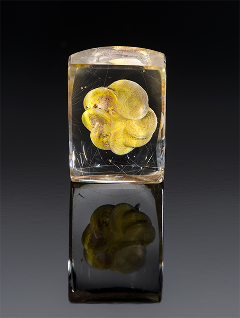 Manufactured floral-shaped inclusion in quartz.