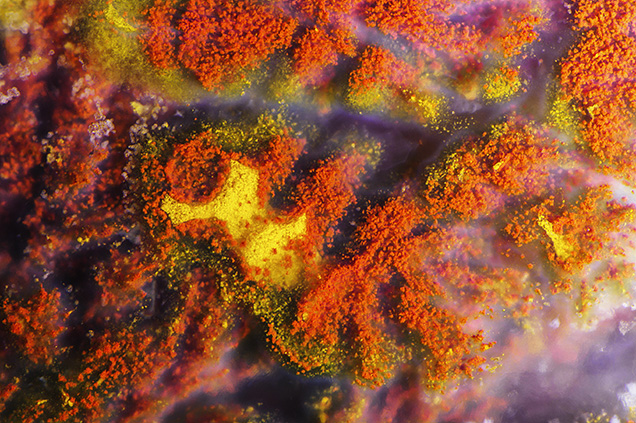 Iranian “autumn agate”