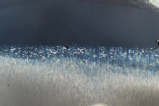 Multiple inclusions at the outer edge of rutile silk. Multiple inclusions at the outer edge of rutile silk.