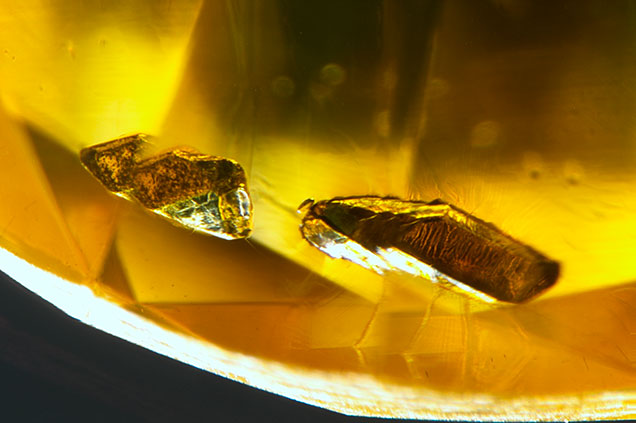 HPHT-grown synthetic diamond HPHT-grown synthetic diamond