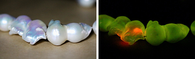 Small non-nacreous region under white light (left) atypically fluoresces reddish orange under UV light (right). Small non-nacreous region under white light (left) atypically fluoresces reddish orange under UV light (right).