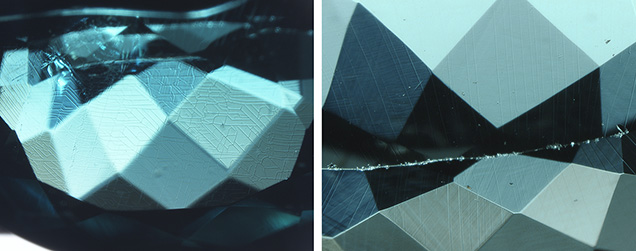 Photomicrographs of the circuit board–like features.