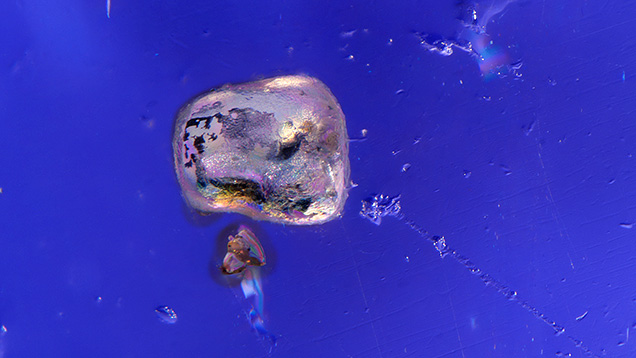 Figure 2. The dark violet background of the iolite shown through a polarizer creates a stunning backdrop for the large apatite and smaller monazite inclusions. The yellow radiation stains surrounding the monazite crystals are much thicker than the thin rim around the apatite. Photomicrograph by Tyler Smith; field of view 1.99 mm. Figure 2. The dark violet background of the iolite shown through a polarizer creates a stunning backdrop for the large apatite and smaller monazite inclusions. The yellow radiation stains surrounding the monazite crystals are much thicker than the thin rim around the apatite. Photomicrograph by Tyler Smith; field of view 1.99 mm.