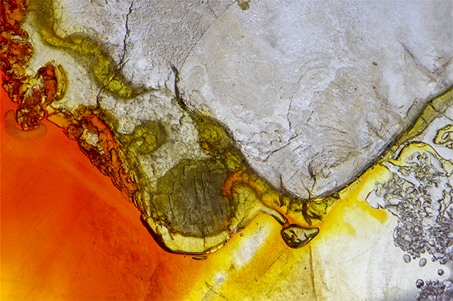 Orange and yellow resin mimics natural iron oxide staining.