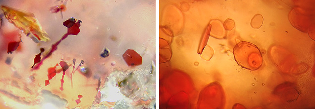 Flaky hematite in strawberry quartz (left) and alurgite in the pink aventurine quartz sample (right).