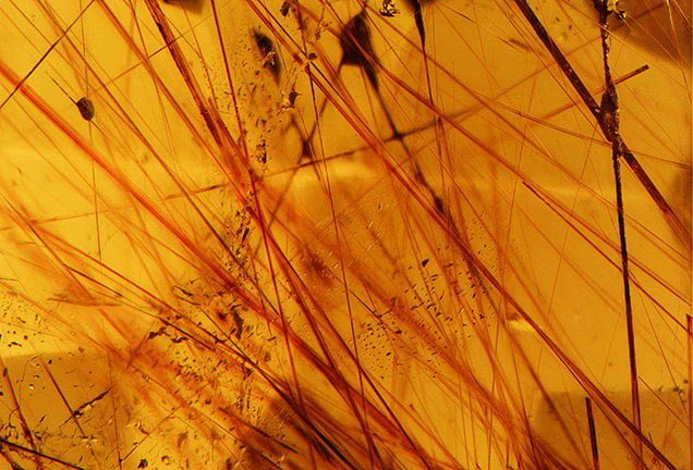 Inclusions in bastnäsite Inclusions in bastnäsite