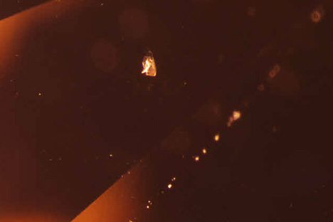 Platy crystals and aligned particles in euclase.