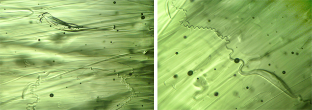 Bubbles and inclusions in natural moldavite Bubbles and inclusions in natural moldavite