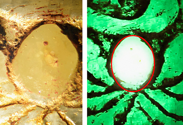 Bubbles and phosphorescence in cavity. Bubbles and phosphorescence in cavity.