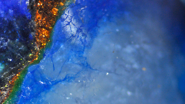 Photomicrograph of beads showing polymer Photomicrograph of beads showing polymer